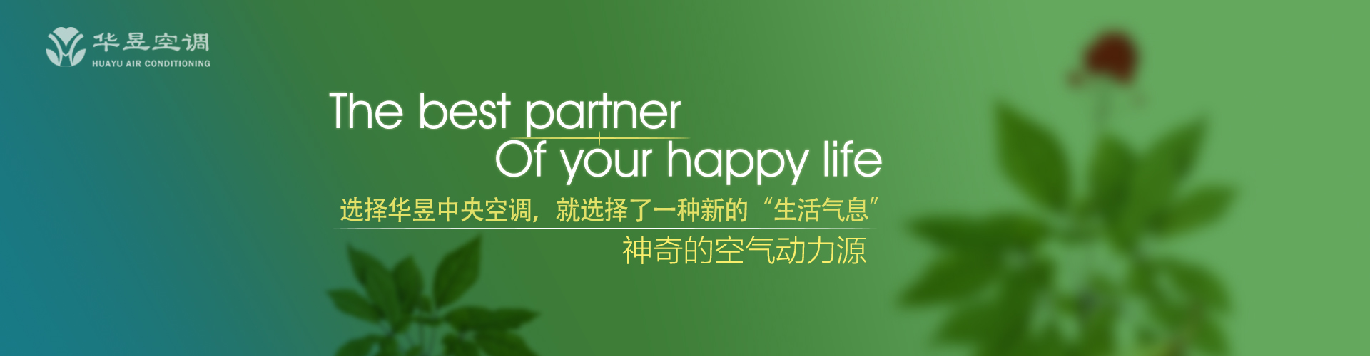 一无所成网